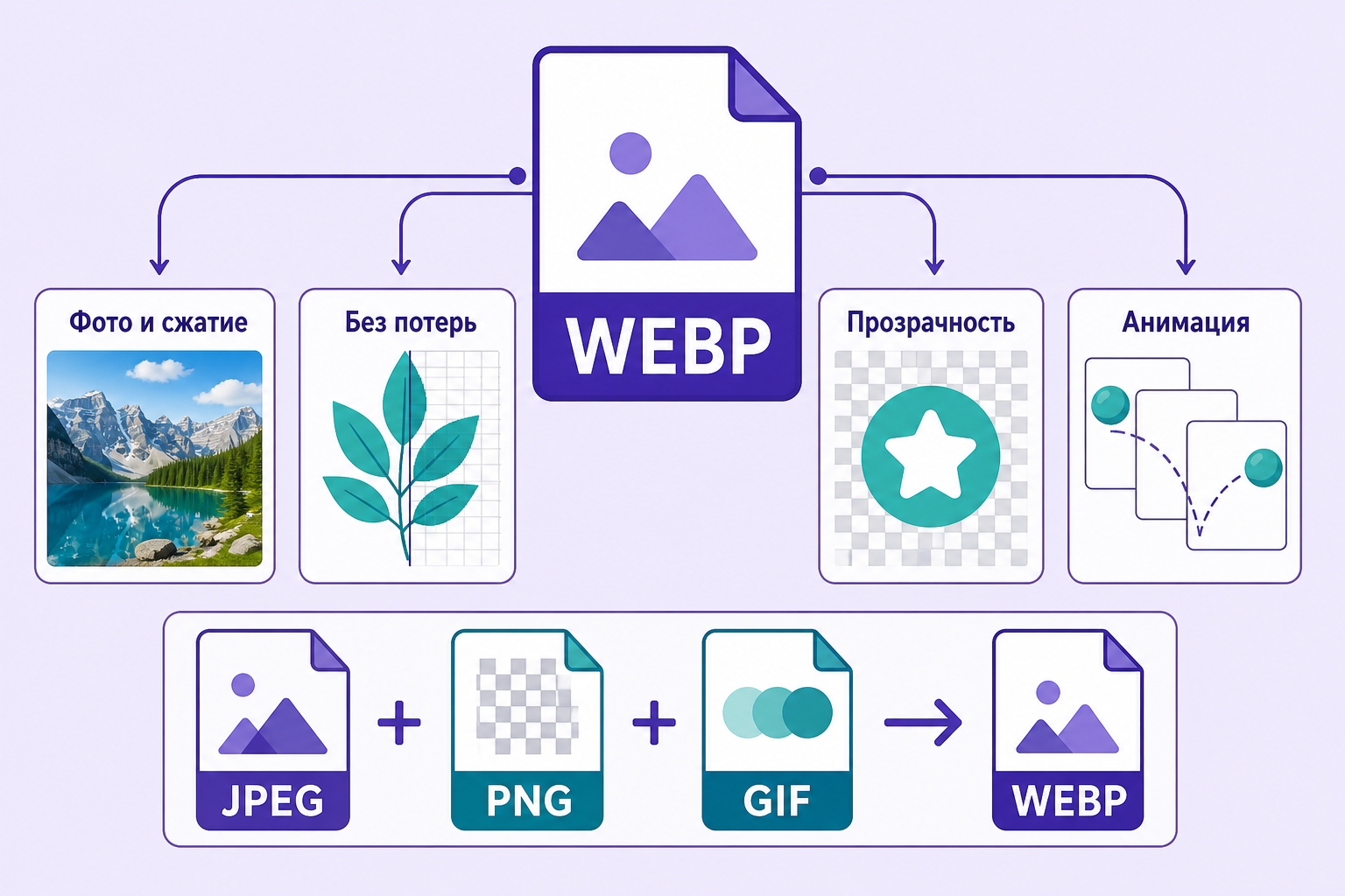 Инфографика о возможностях WebP: сжатие фотографий, режим без потерь, прозрачность и анимация